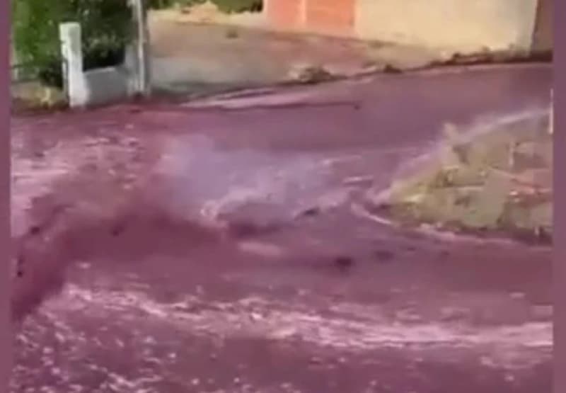 Vino u Portugalu