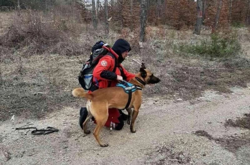 Potraga za pastirom kod Tomislavgrada