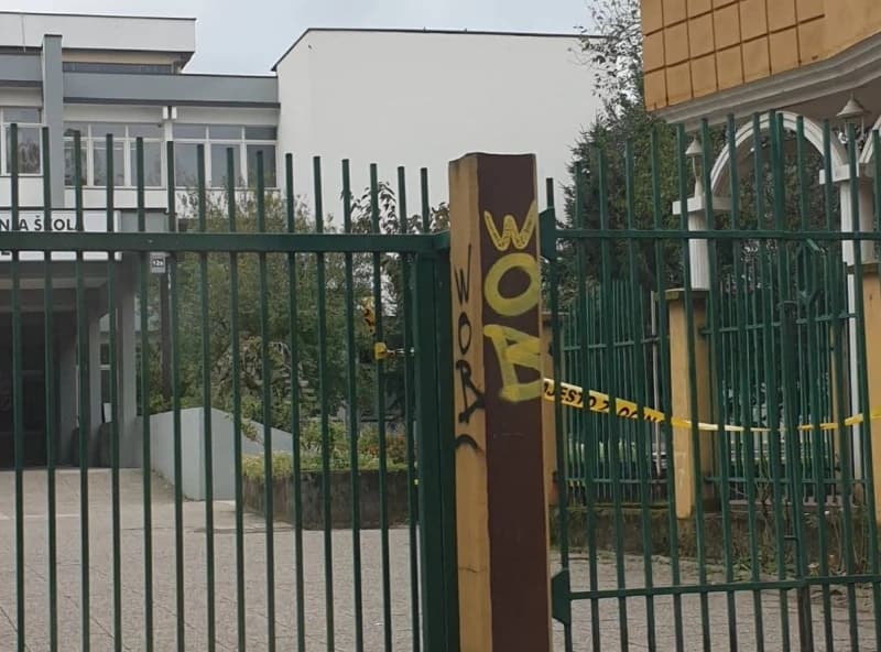 Srednja škola u Živinicama