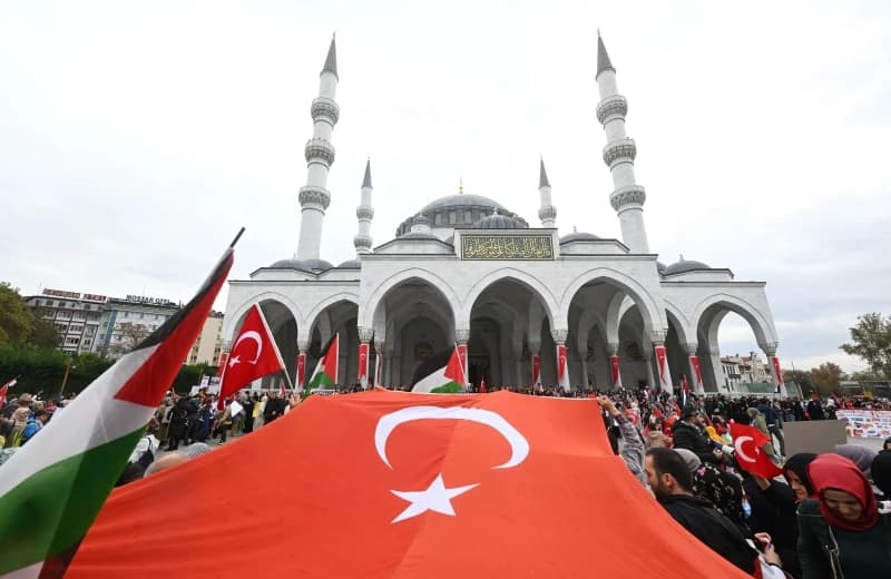 Turska, skup podrške, Palestina