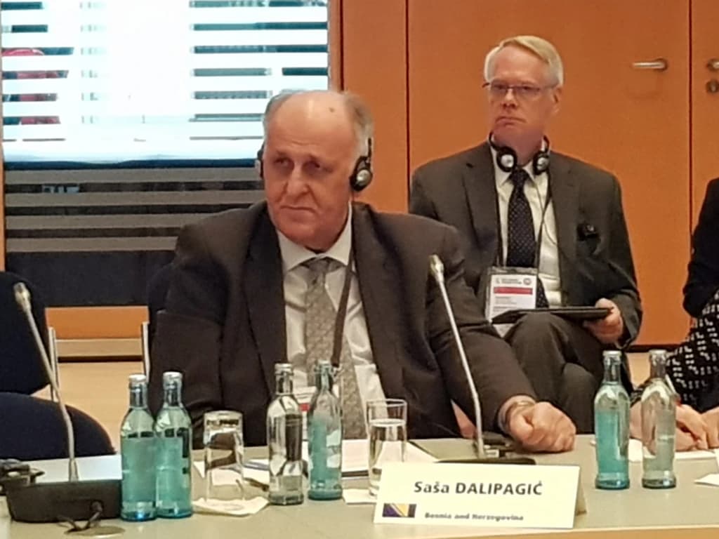 Saša Dalipagić