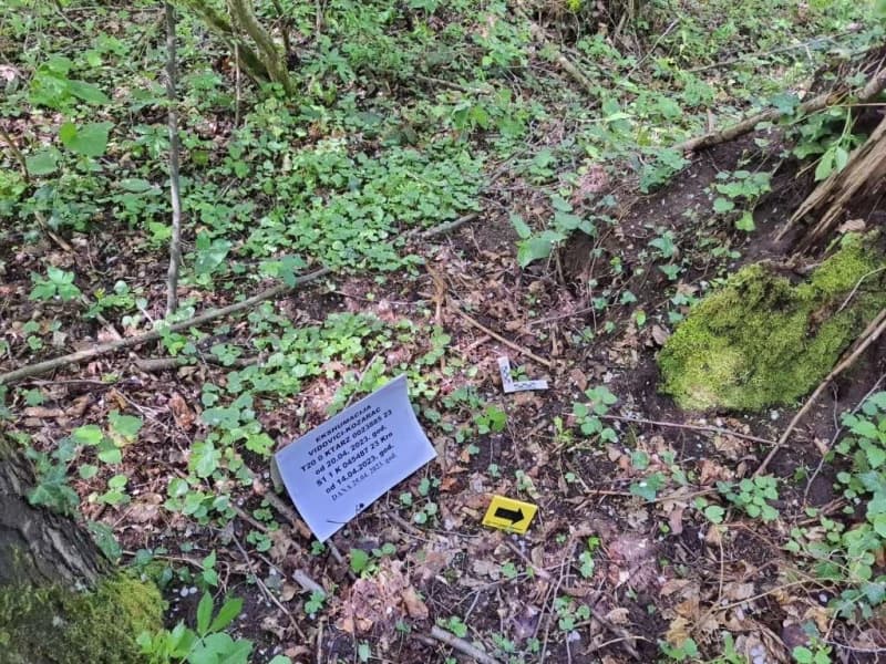 Poznat identitet osumnjičenih za genocid u Srebrenici, Sud BiH im odbio odrediti pritvor