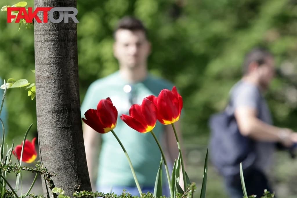 Danas prvi dan proljeća