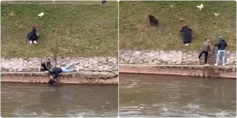 Spašavanje psa, Miljacka 