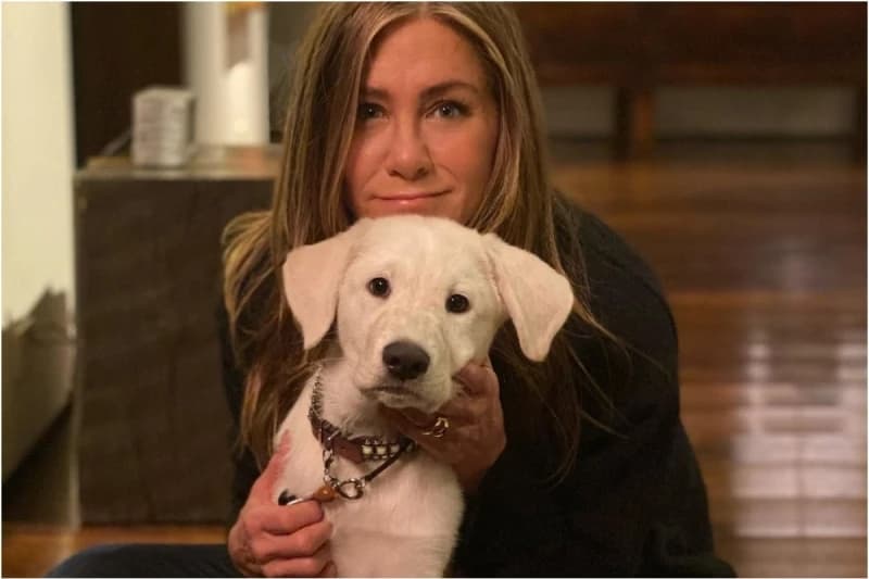Jennifer Aniston