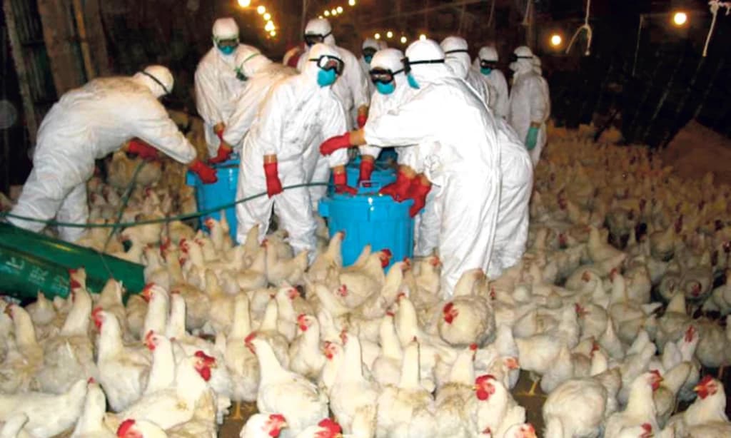 Epidemija je počela 2020. godine