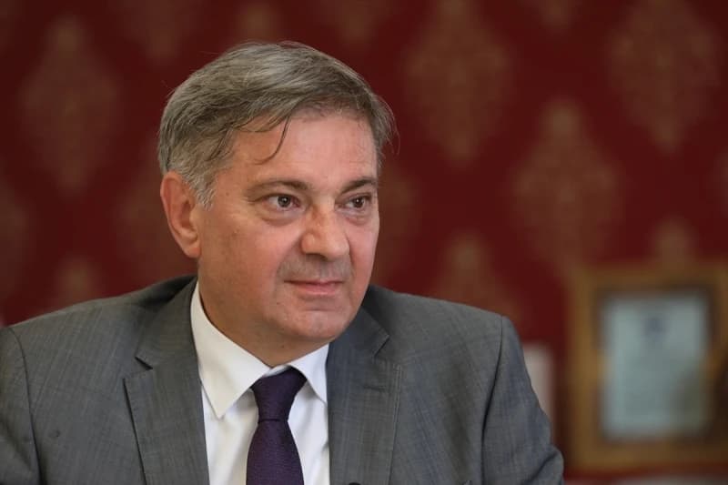 Denis Zvizdić