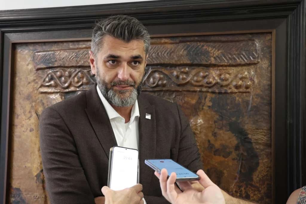 Emir Suljagić