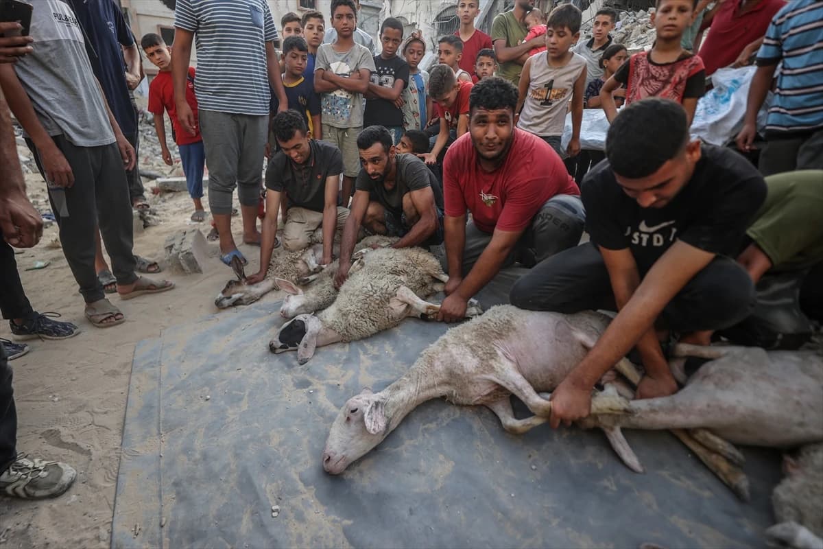 Palestinaci žrtvuju kurbane