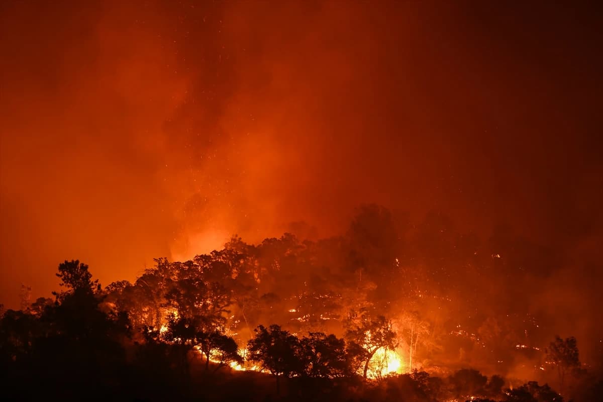 Požar na sjeveru Kalifornije