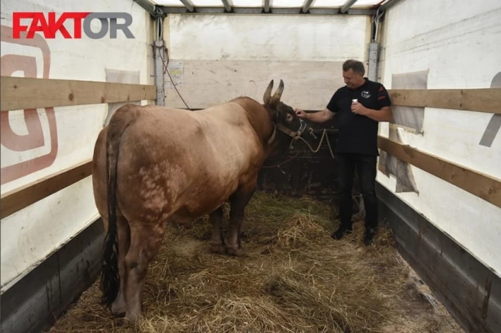Bik Medonja s vlasnikom Habibom Bjelićem Habibićem