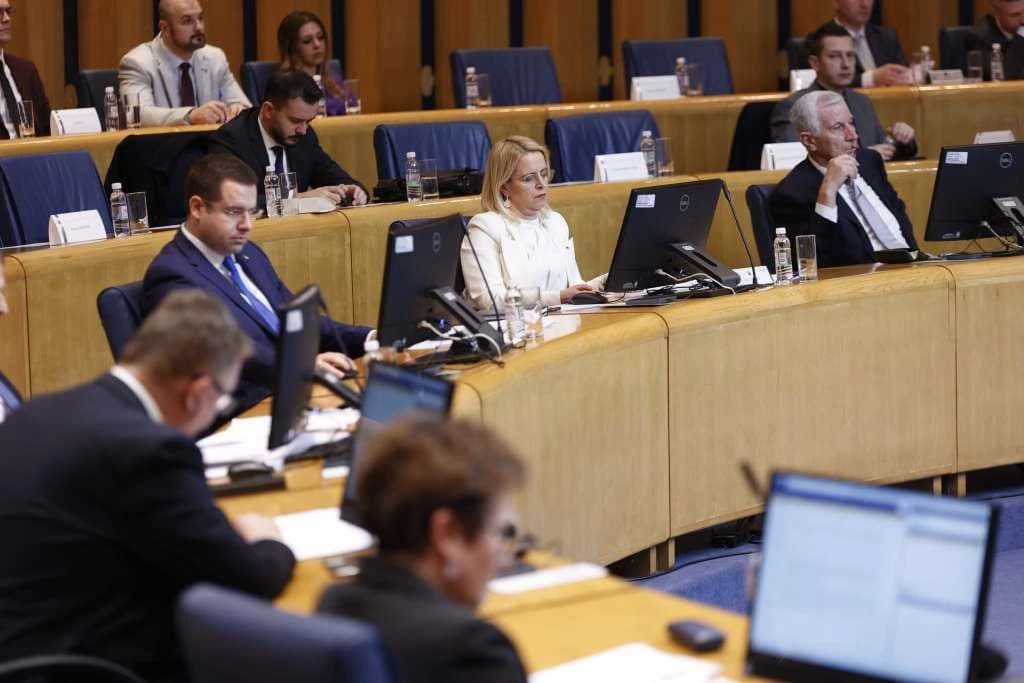 Snježana Novaković Bursać na sjednici Doma naroda PSBiH