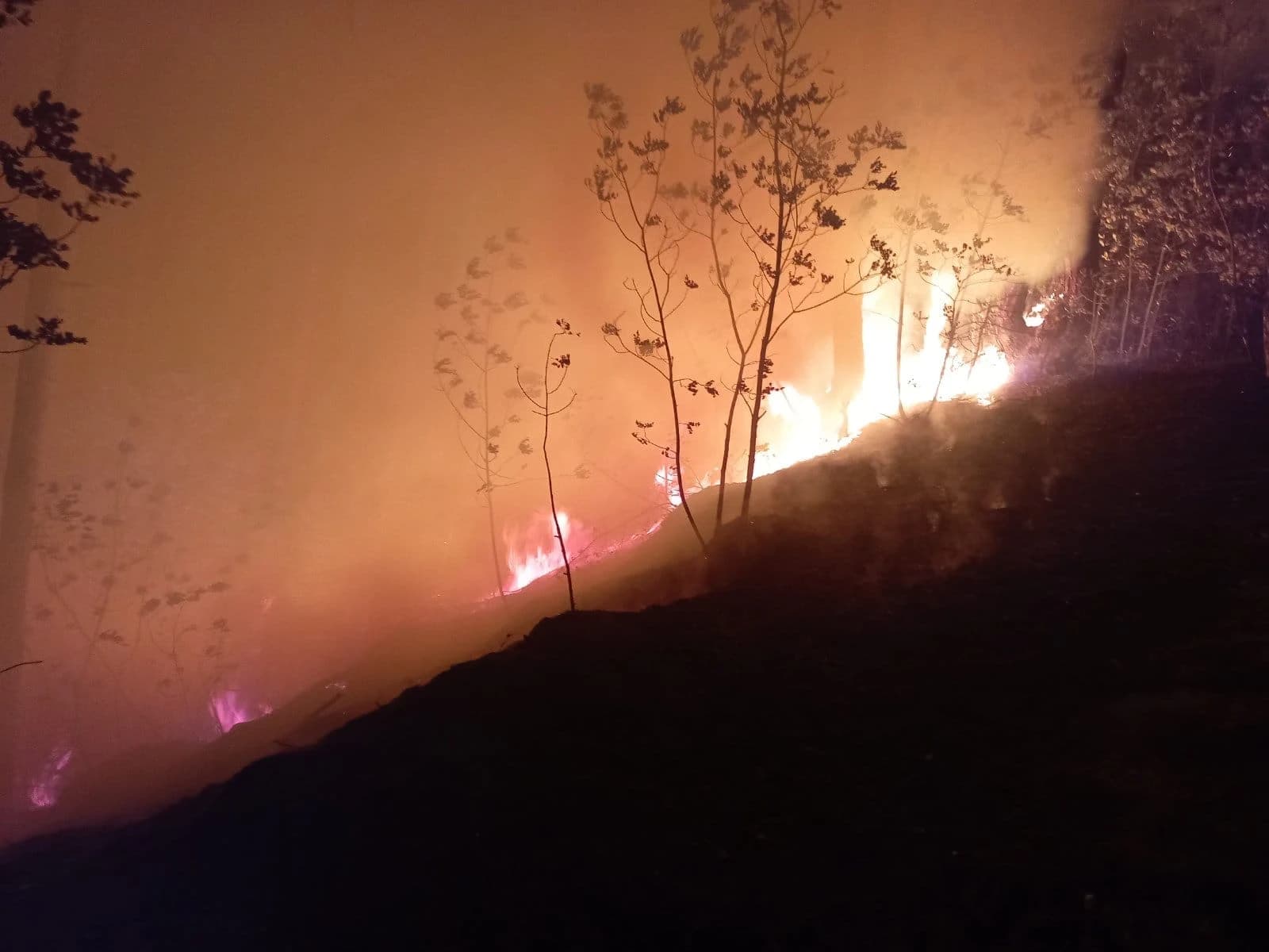Požar u Konjicu