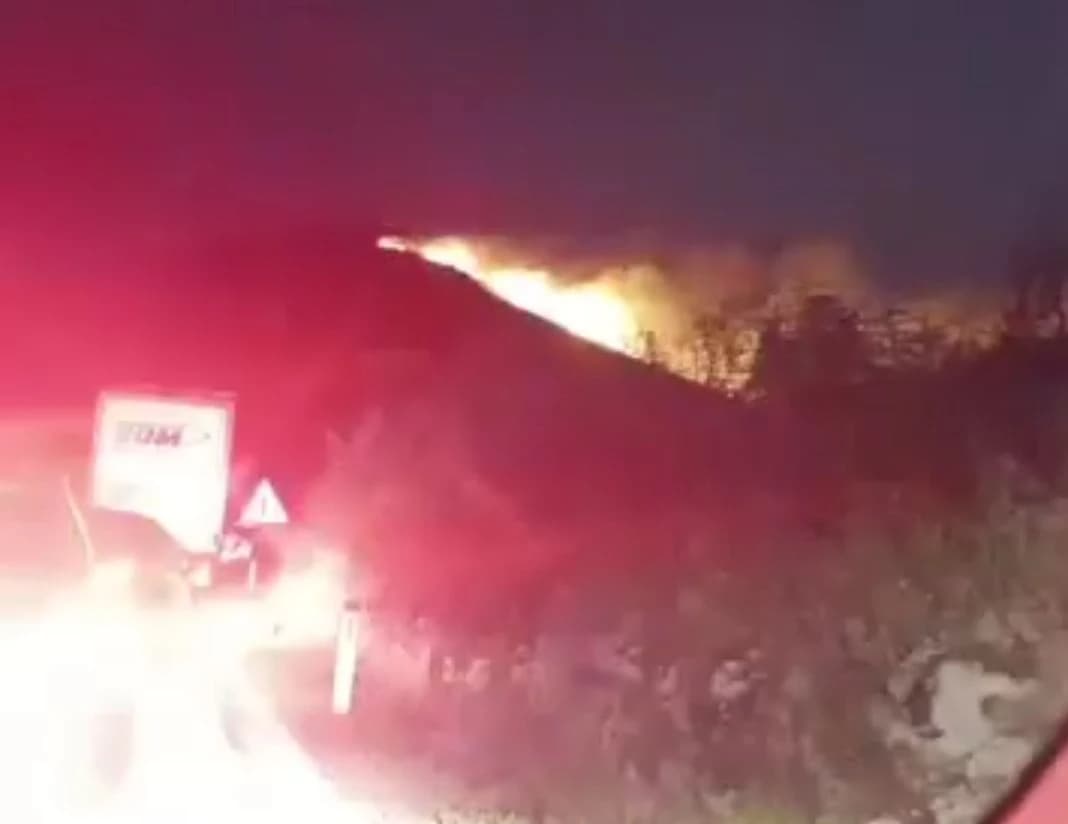 Požar kod Ljubinja