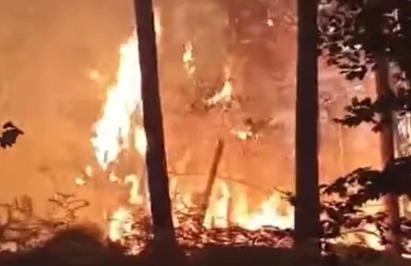 Stanovnici su u panici i boje se da požar ne dođe do njihovih kuća