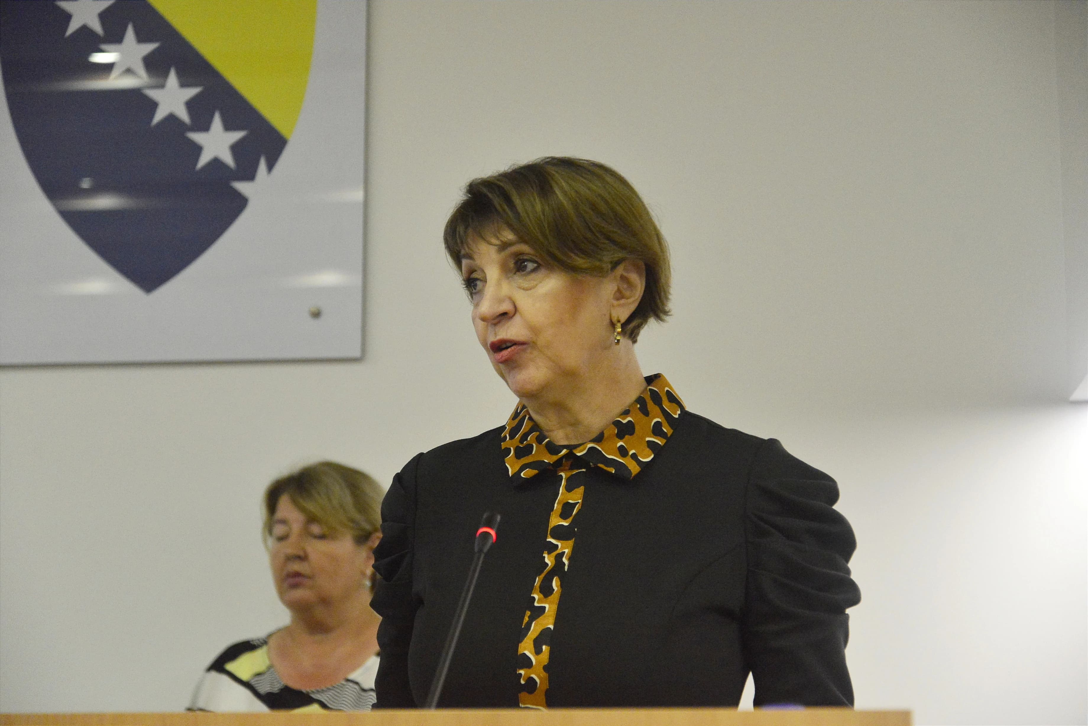 Irena Hadžiabdić
