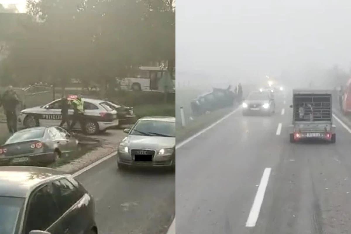 Udes kod Kalesije i u Puračiću
