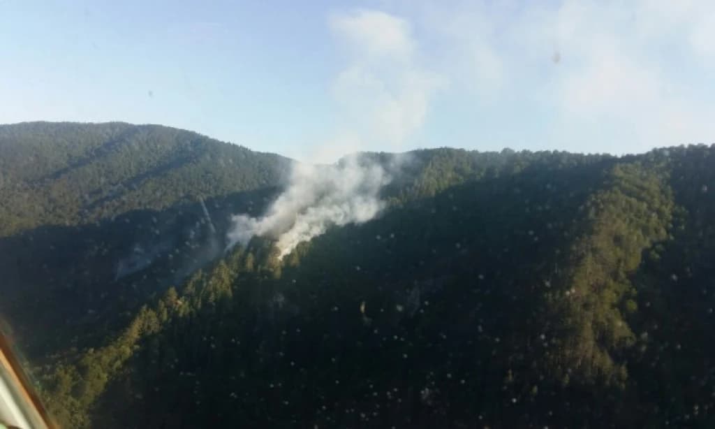 Požar na Visočici kraj Konjica