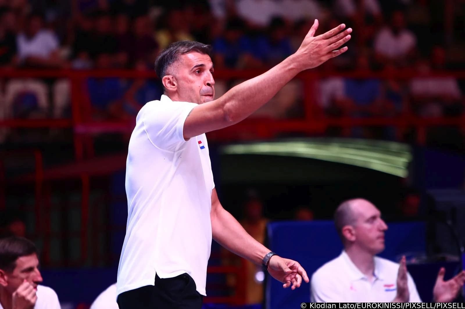 Josip Sesar
