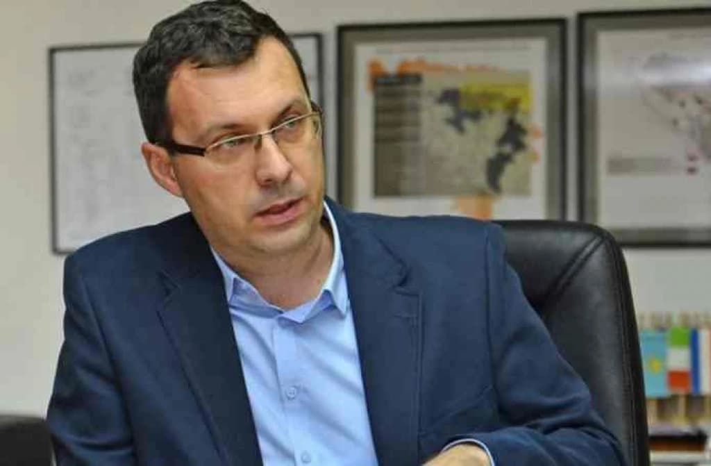 Nermin Džindić 