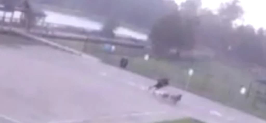Trenutak kada je Coreasa udarila munja