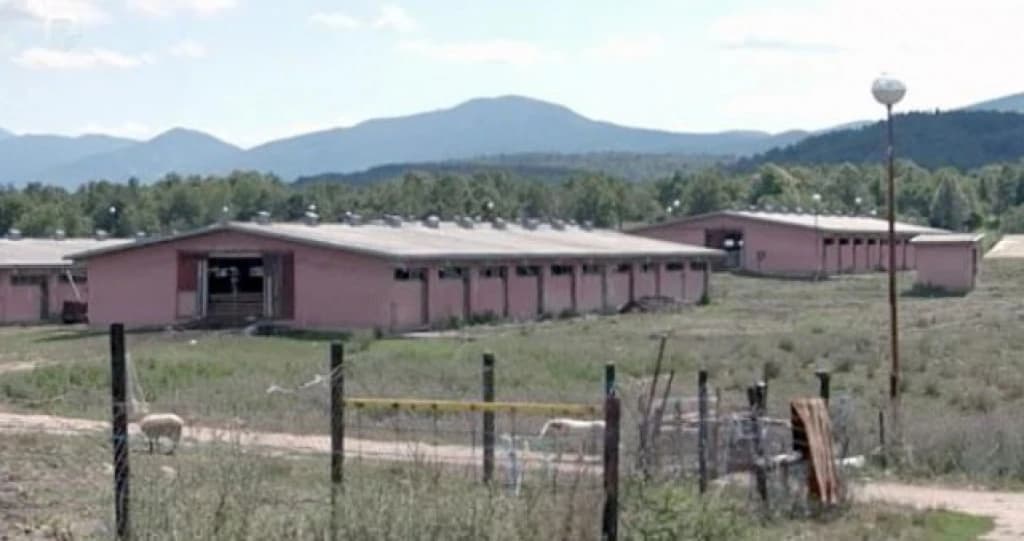 Medeno polje