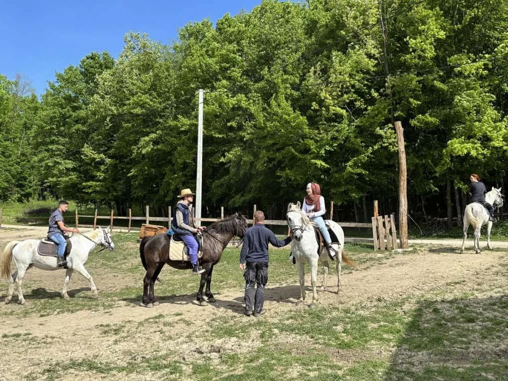 Danas na "Begovoj farmi" ima pet konja