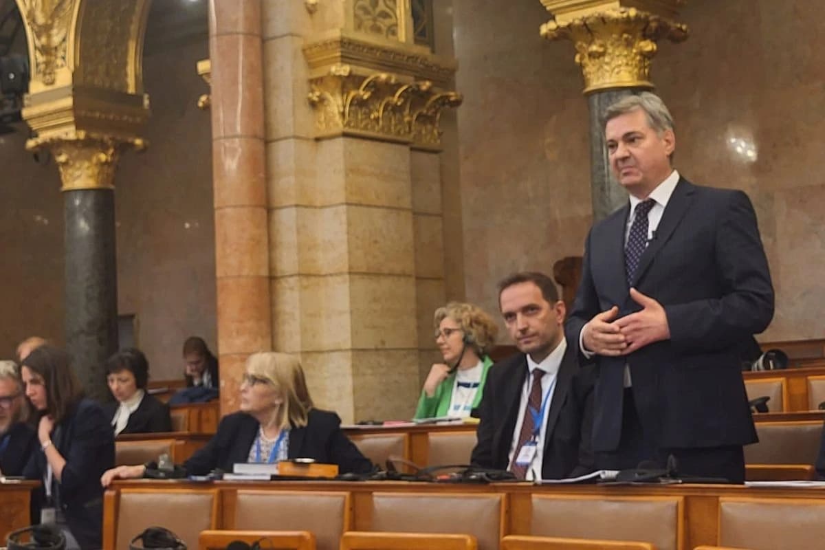 Zvizdić tokom obraćanja u Budimpešti