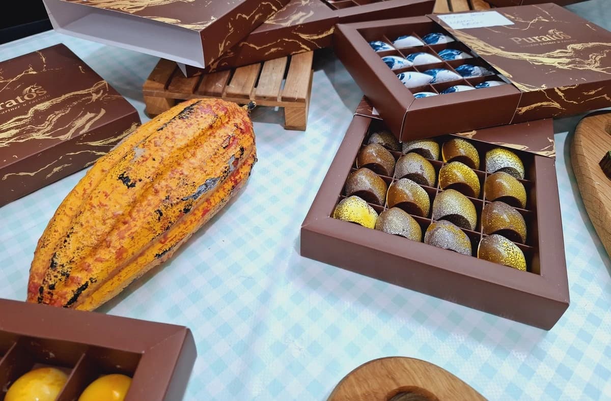 Plod kakaovca i čokoladne praline