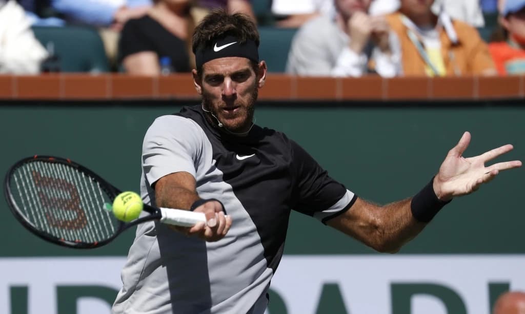 Juan Martin Del Potro