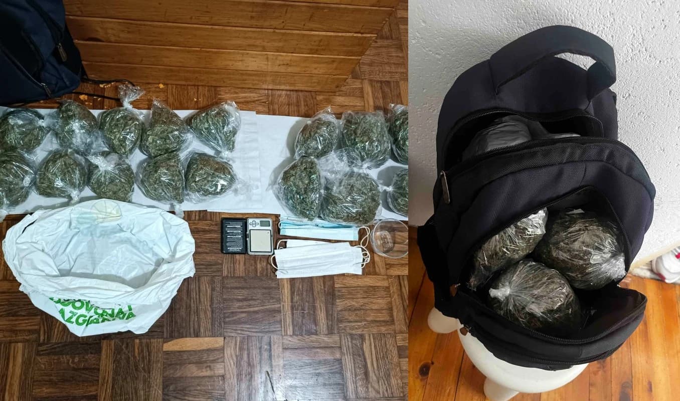 Zaplijenjena droga