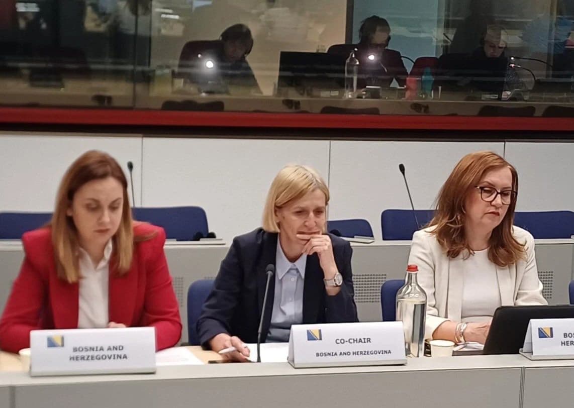 Delegacija BiH