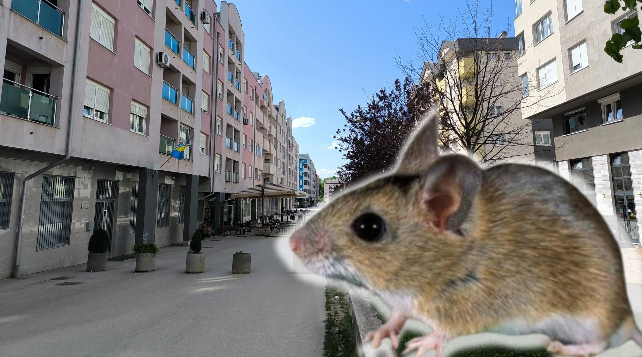 Građani su prepušteni sami sebi