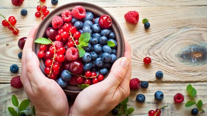 Neophodni su nam vlakna i proteini