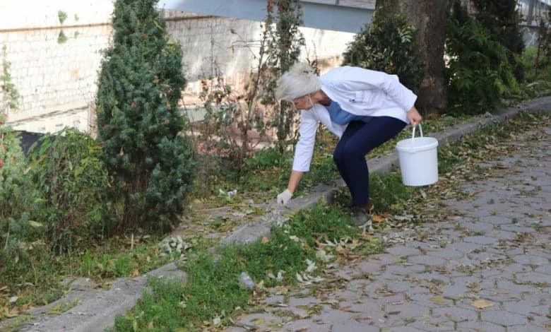 U Sarajevu je povećan broj glodara