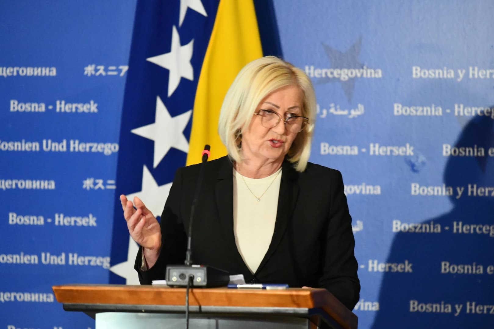 Borjana Krišto