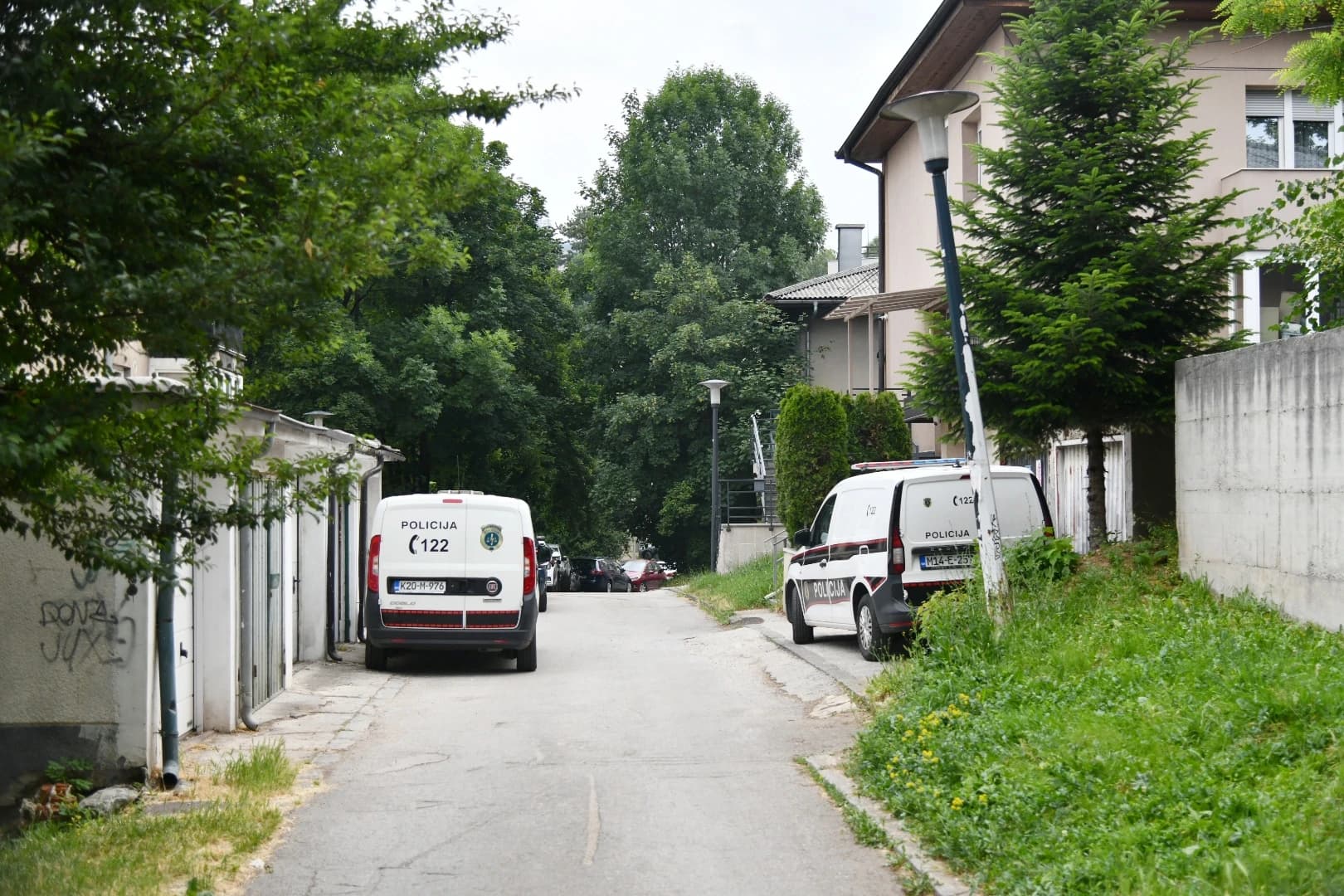 Ubistvo, Višnjik