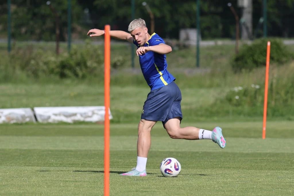 Ermedin Demirović