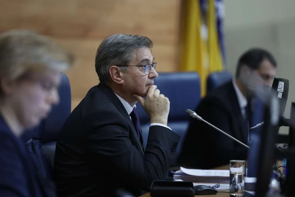 Denis Zvizdić