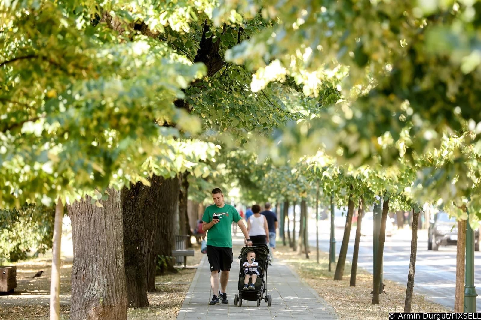 U BiH danas vruće, temperature do 35 stepeni: Planirate li vikend evo kakvo će vrijeme biti do nedjelje