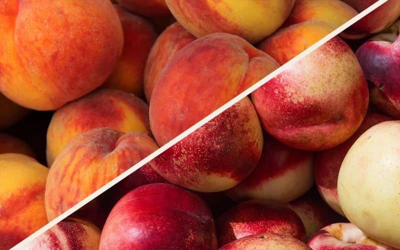Nedžad Bićo o uvozu breskvi s pesticidima: Naša roba propada, a uvozimo otrov
