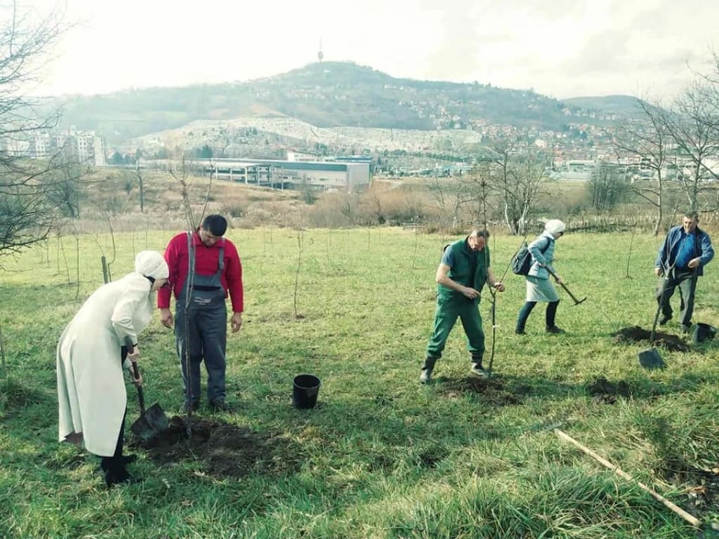 KJKP Park i sadnja drveća