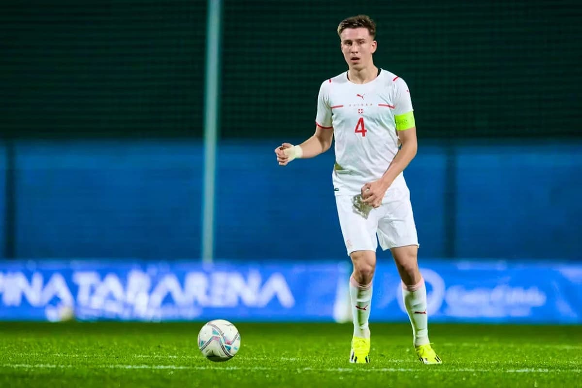 Ostavio kapitensku traku druge zemlje radi BiH, sad ga više ne zovu ni Barbarez ni klupski trener