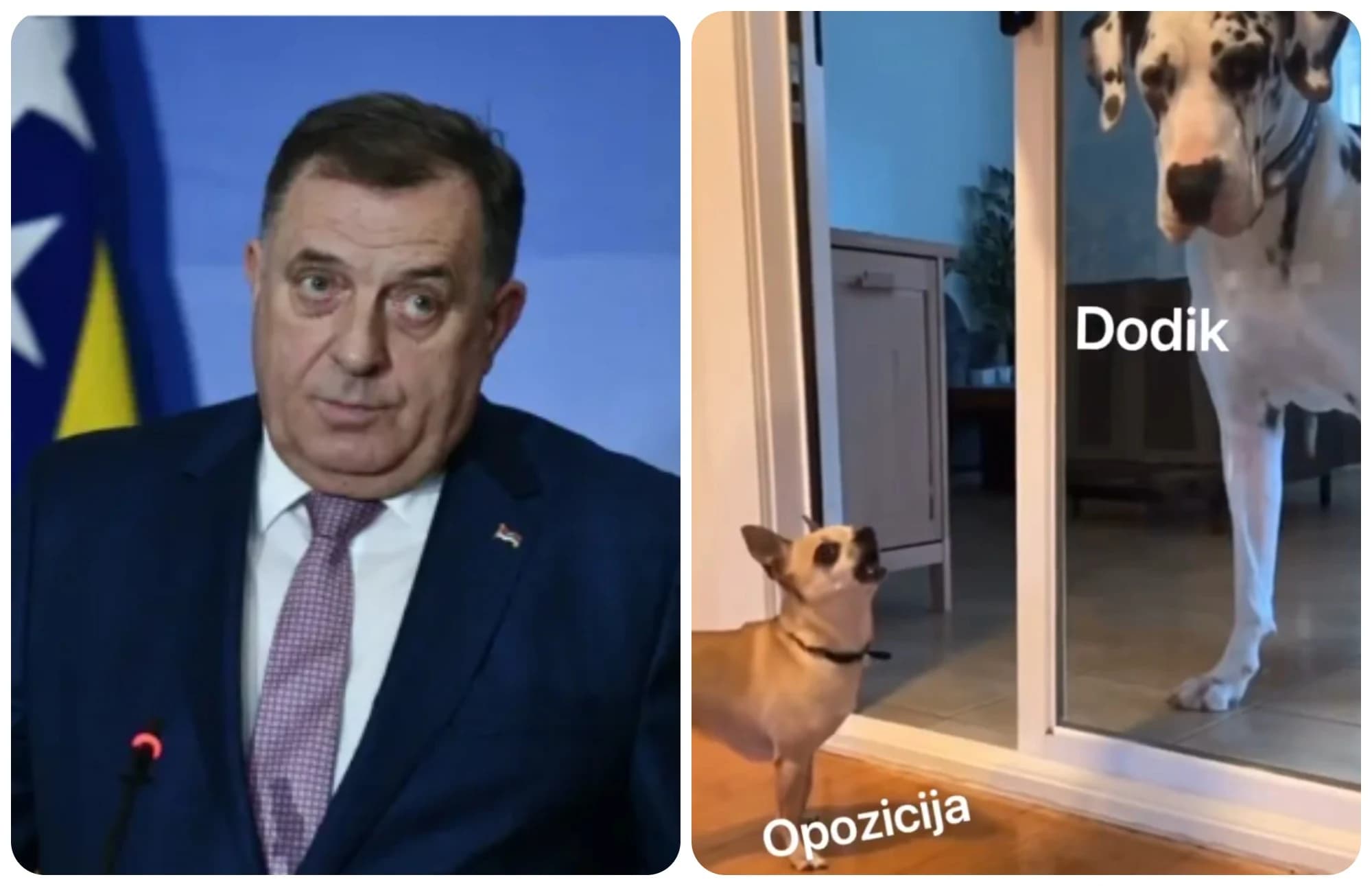Dodik kao veliki pas