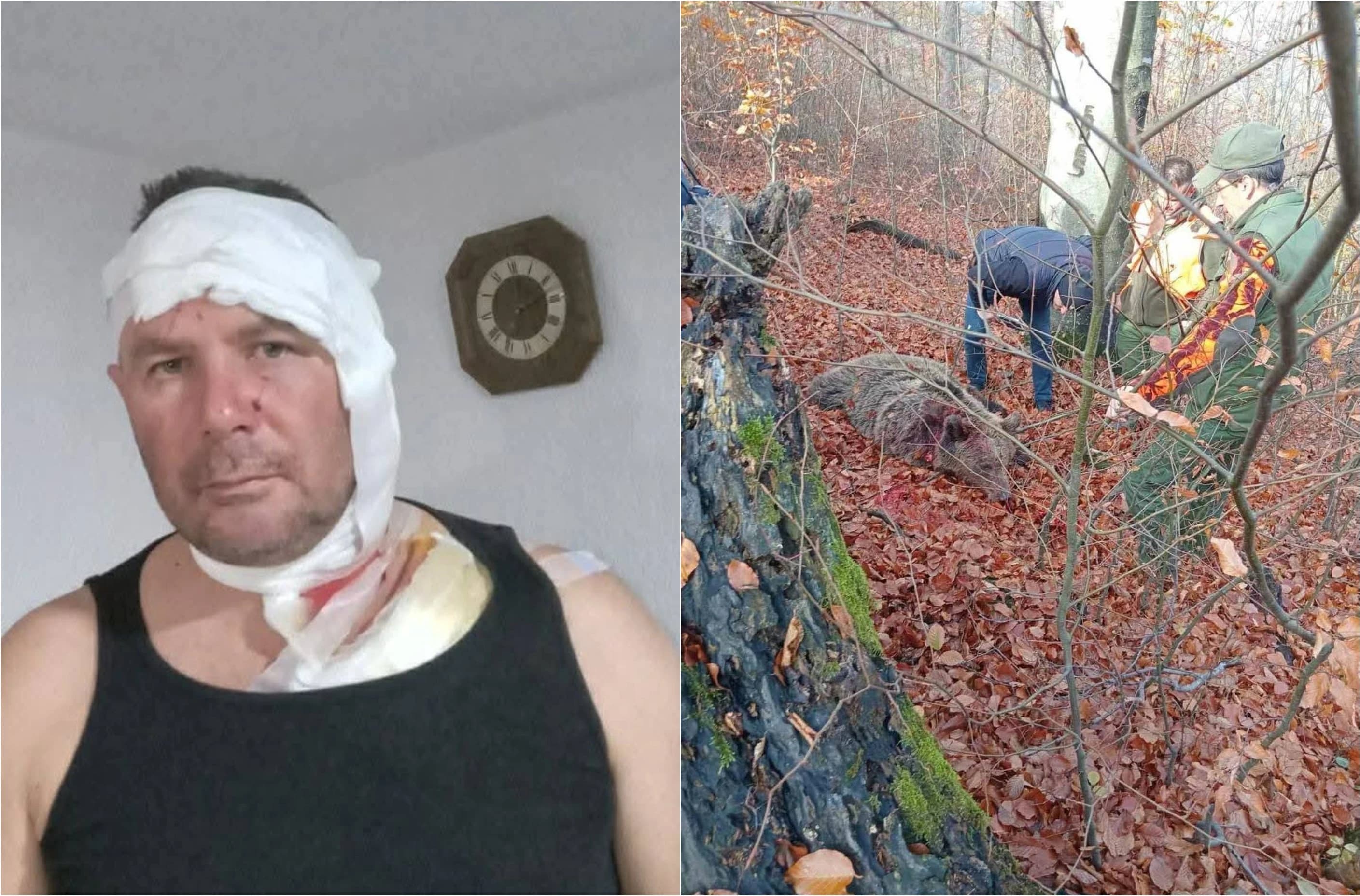 Lovac preživio napad medvjedice na Konjuhu, završio u UKC-u Tuzla