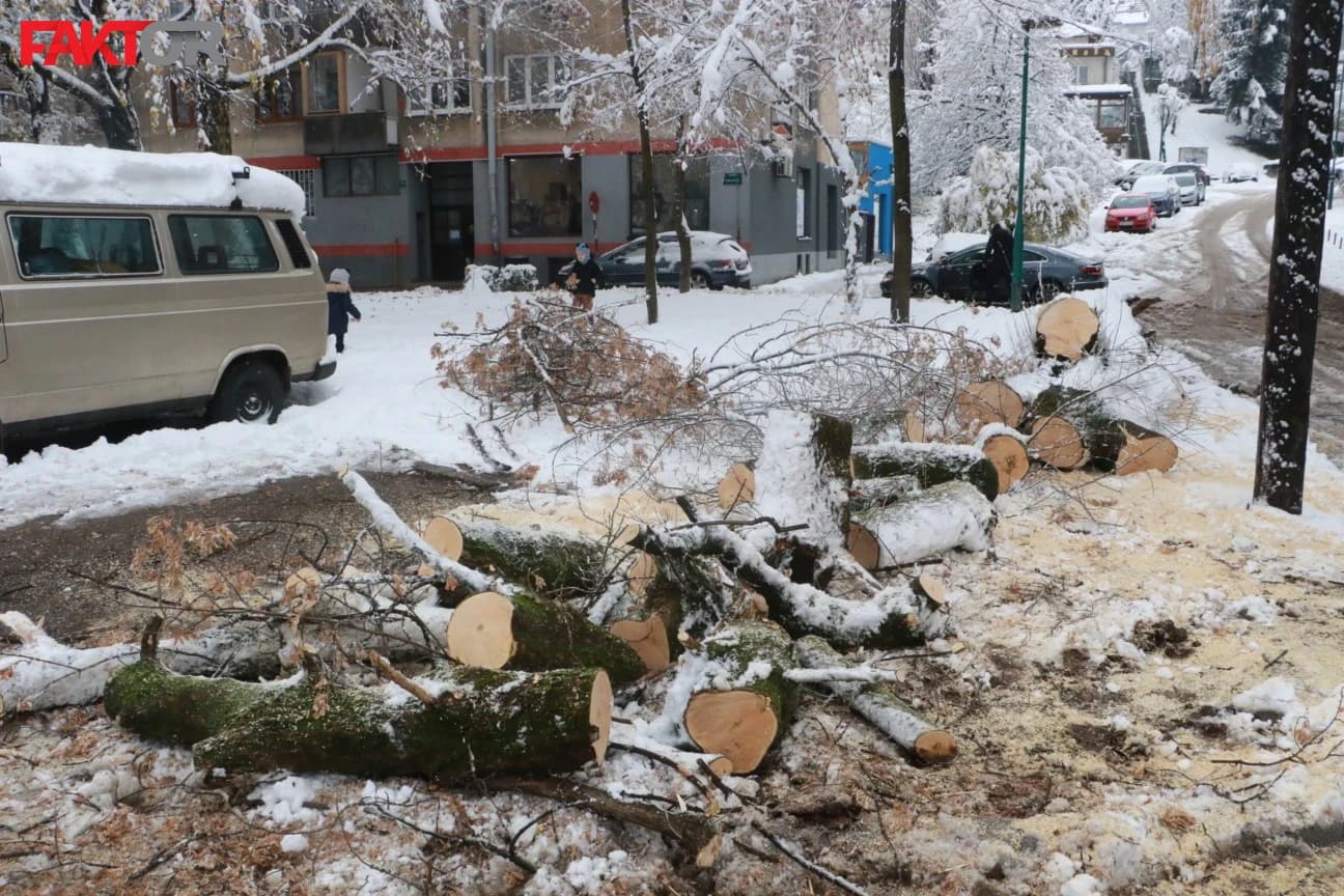 Palo stablo na Grbavici i oštetilo vozila