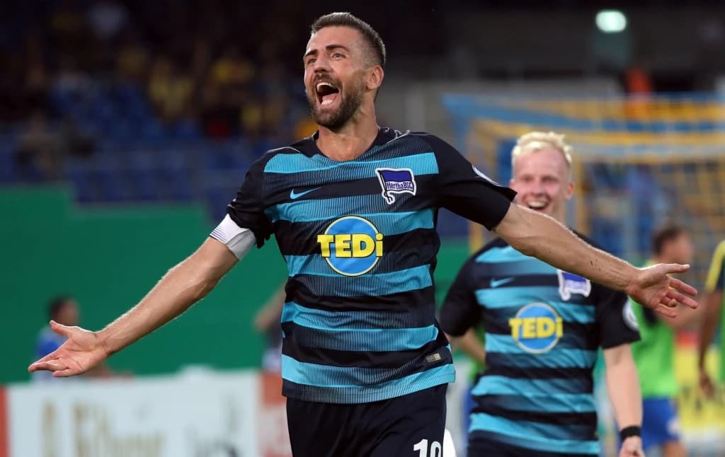 Vedad Ibišević