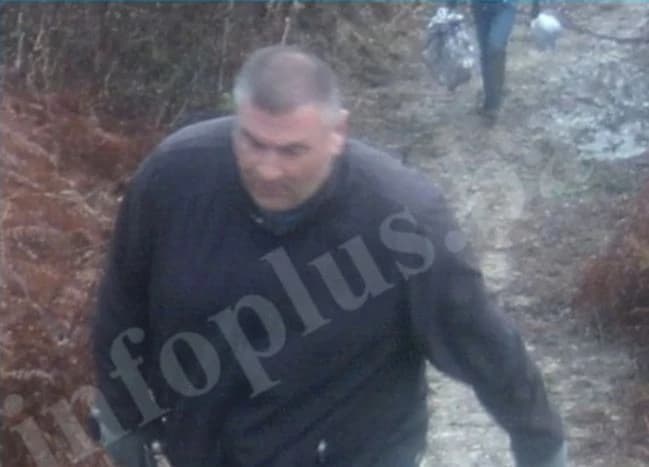 Velemir Gurdeljević