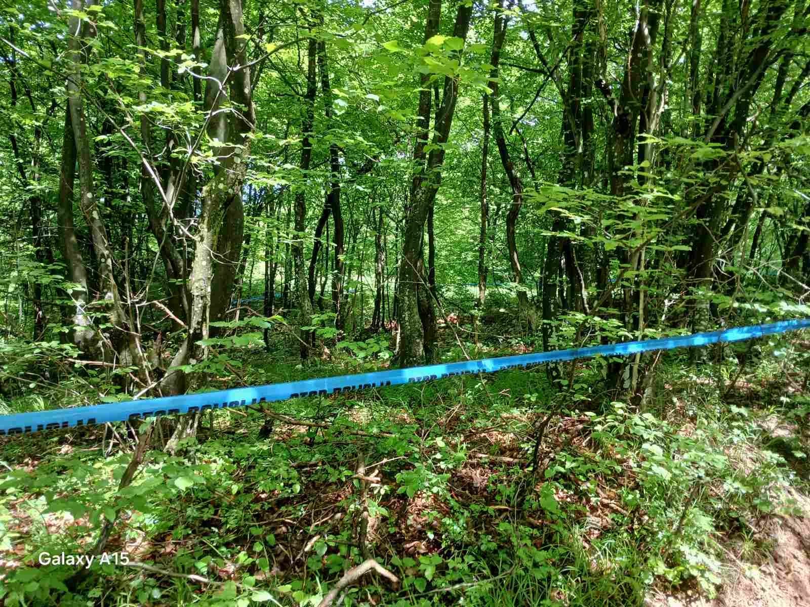 Posmrtni ostaci su pronađeni u junu
