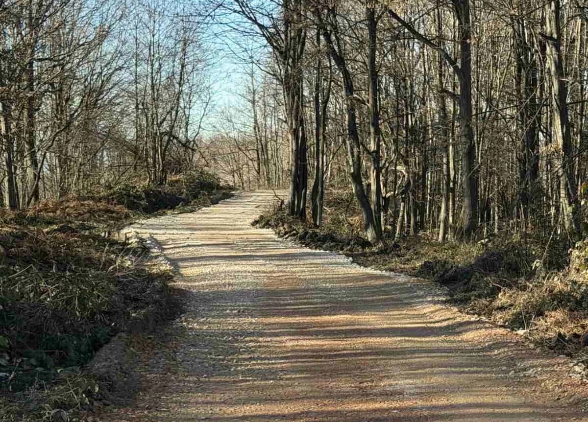Staza na Majevici